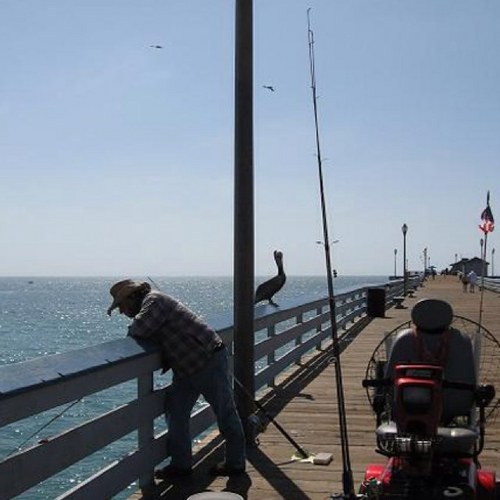 driller1438's profile picture. 