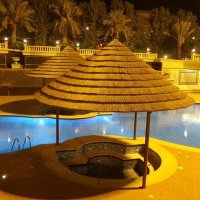معاذ مسعد (@muath_ail) Twitter profile photo