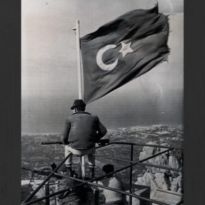 smlaygn1's profile picture. 