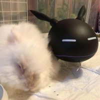 どり (@tccxoimo) 's Twitter Profile