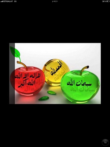 alma6l3y's profile picture. 