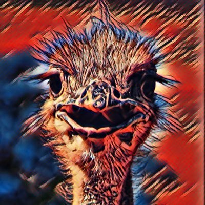 sonya_b_010's profile picture. ummm…