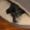 Adam Powers - @_powersthatbe - Twitter