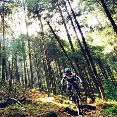 EiSuspendido's profile picture. 😌