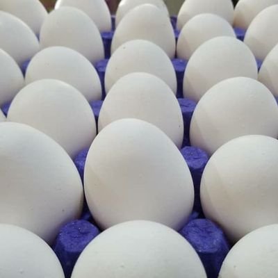 dymhmdlyalmafa2's profile picture. 