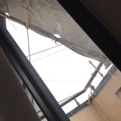 sigure608's profile picture. 