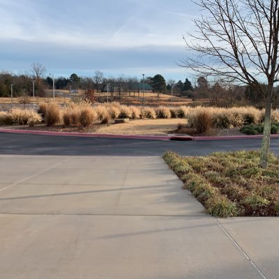 condomsnpregz's profile picture. mmmm lol bhhhh shhh