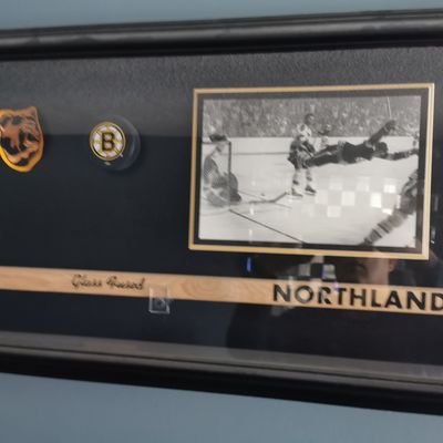 I'm a true Bruins fan since 1970