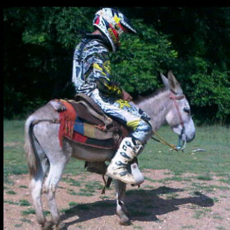 AlejandruxoOp's profile picture. 