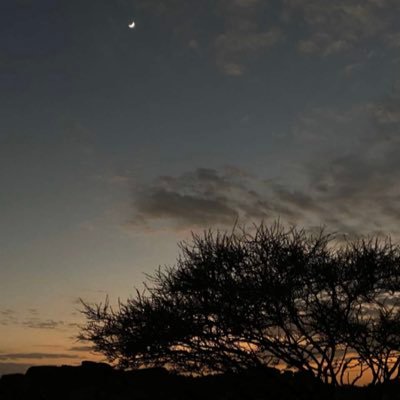 n94072741's profile picture. ...