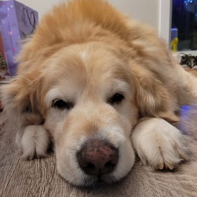 kpososki's profile picture. 