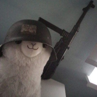 DavidCo40121130's profile picture. *𝕮𝖍𝖎𝖈𝖔 𝖙𝖗𝖆𝖓𝖖𝖚𝖎*