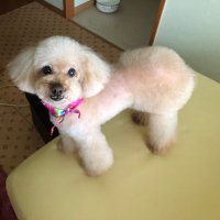 norip--⛄️ (@nonoripii) 's Twitter Profile