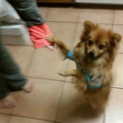 BusilloJoseph's profile picture. 