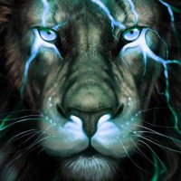Louis Tallarigo (@ltrain4449) 's Twitter Profile