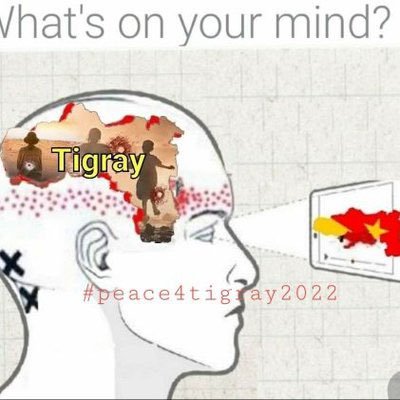 #StopTigrayGenocide #BidenActNow #TigrayCantWait