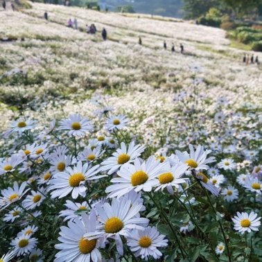 애쓰지마 대충해!!