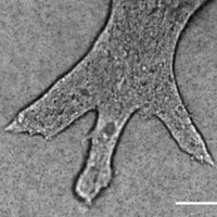 MakResearchLab (@makresearchlab) 's Twitter Profile