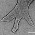 MakResearchLab (@makresearchlab) Twitter profile photo MakResearchLab (@makresearchlab) Twitter profile photo