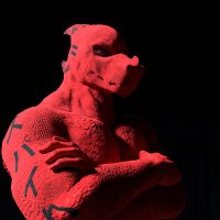 Spaiko Trapsu (@spaikotrapsu) 's Twitter Profile