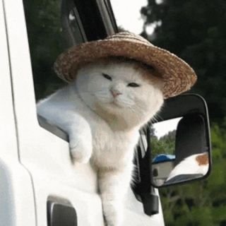 off2maui's profile picture. #FTFO #Volemos ✌️⚽️