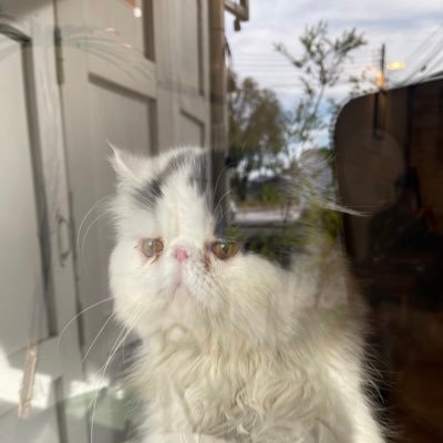 phattsorn's profile picture. เดี๋ยวมันก็ผ่านไป