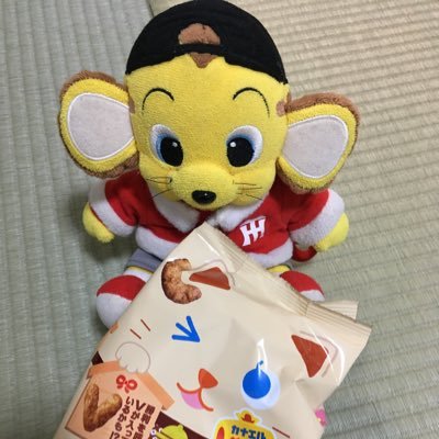 阪神ファンです。シーズン中の土日はよく甲子園に行ってます⚾️ 選手は全員応援していますが、坂本誠志郎選手と近本光司選手を特に応援しています。多趣味でたまに野球以外も呟いています。 無言フォローごめんなさい🙇‍♀️こちらも、無言フォロー歓迎です🙇‍♀️