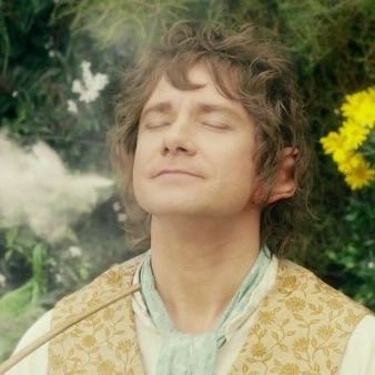 ThorinsForehead's profile picture. ♡ place for my bagginshield brainrot ♡ a little cottagecore hobbit at heart 💐 just here to draw, write and ramble about my dwarf husband and his hobbit husband
