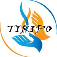 Tiripo organisation(@Tiripoorg) 's Twitter Profile Photo