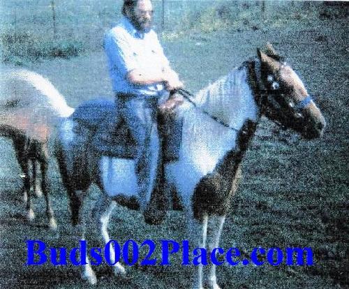 Buds002's profile picture. Find Me: http://t.co/2OOZ0QsJRH can we be Friends on Skype my ID is Buds002Place