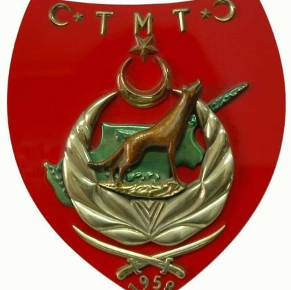 MSuleymanogl's profile picture. 