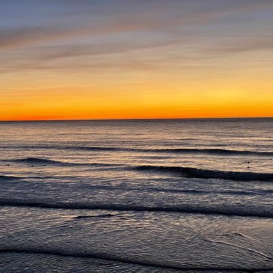 cryptoinajar's profile picture. allin