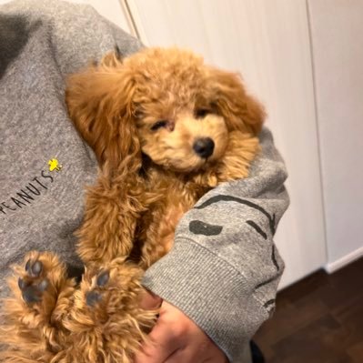 hrwxkefgjEozYez's profile picture. 