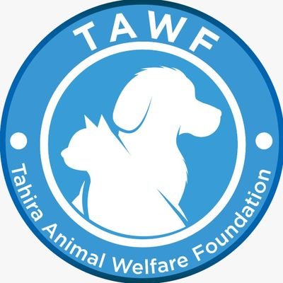 🐾UK-based charity with a mission in 🇵🇰 | Rescuing & rehabilitating animals in need | Powered by your kindness 💚 | https://t.co/p2HypAbvH7 😺🐕🐎🌱