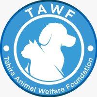 Tahira Animal Welfare Foundation - TAWF(@tawf_uk) 's Twitter Profile Photo