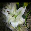 Alia Alkhalifa - @3allllu - Twitter