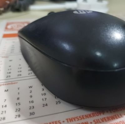 dibyomandal's profile picture. 