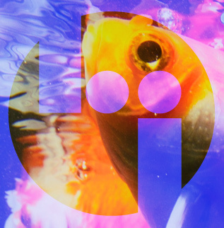 workinteriors's profile picture. We are Brazier Interiors, the south’s leading expert in commercial and ofﬁce interiors and we've been creating proﬁtable work environments for 51 years.