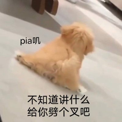 20+/無言フォローごめんなさい！🥥🐶🥥/🐉🐶/ 🐉🍯/🔨🐯/🦈🍯/🐺❄️🐯/雜多