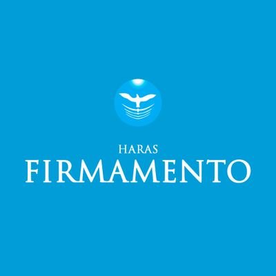 Sitio oficial de Haras Firmamento. Oficial site Firmamento Farm. https://t.co/SPBeAgTNn0