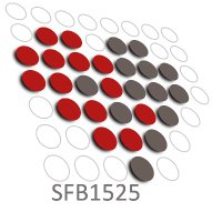 SFB1525 Cardio-Immune Interfaces (@sfb1525) 's Twitter Profile