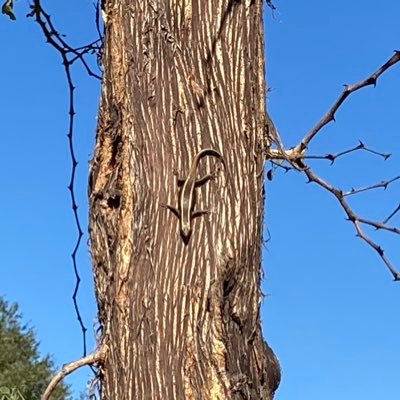 TheMac_attack_'s profile picture. Don’t insult our intelligence!