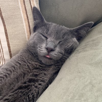 sahakino's profile picture. (🦋) (💜🌙❄️🦋)