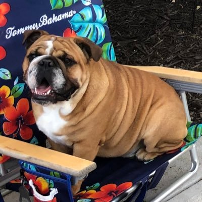 GreggCardenas11's profile picture. 