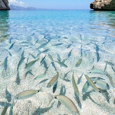 ShahZam76389902's profile picture. Education is the third eye of human being .