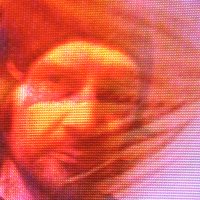 Mike Sandison (@mikesandison) 's Twitter Profile