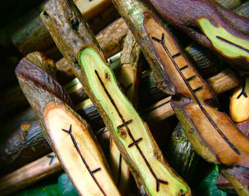 Artist and wood carver based in Winchester, Hampshire.
Creator of the finest hand crafted Pagan ritual tools and amulets.
