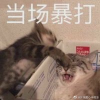 whatever (@alexandr3518) 's Twitter Profile