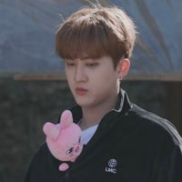 짱비니🐇🐖 (@combinnietion) 's Twitter Profile