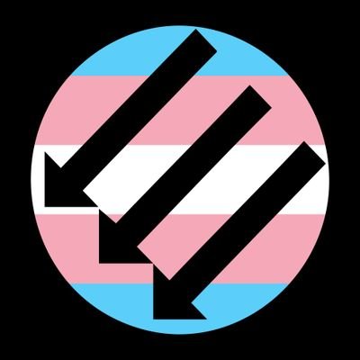 Death before Detransition || Anarchisme Queer || Écologie sociale pour vivre avec le trouble || Elle || Bravo les déglingouines